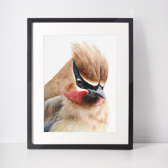 Watercolor Cedar Waxwing Bird Portrait Wall Art Print, Unframed - Vibrant Nature - Picture 3 of 7